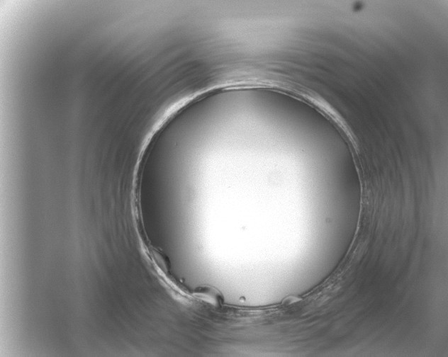 X0000056031485200509170023