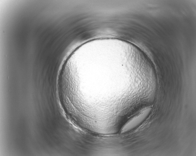 X0000056031488200509170023