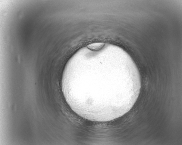 X0000056031489200509170022