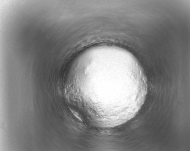 X0000056031490200509170022