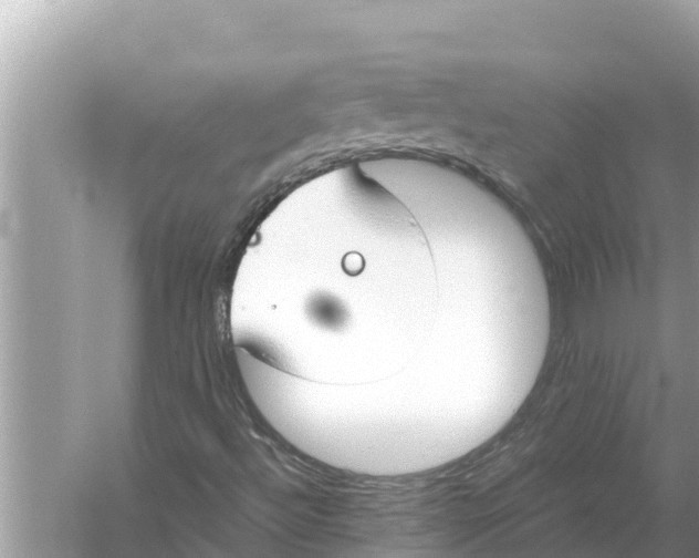 X0000056031492200509170022