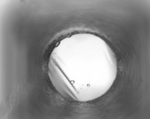 X0000056031495200509170022