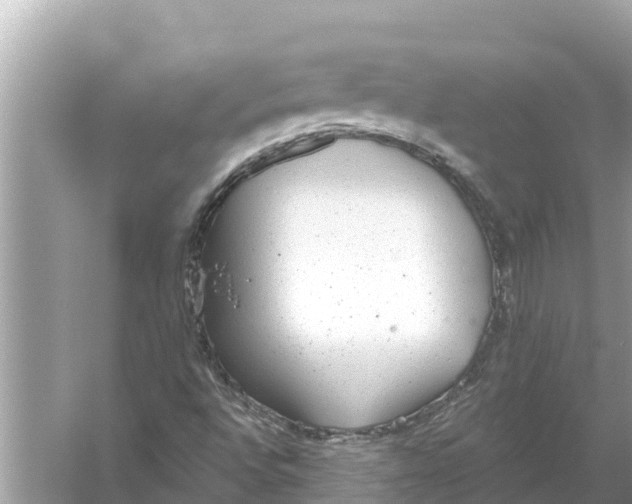 X0000056031496200509170022