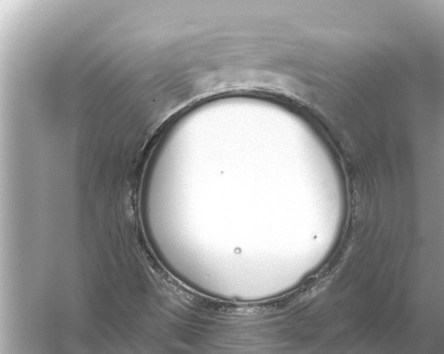 X0000056031497200509170023