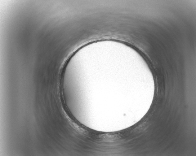 X0000056031500200509170023