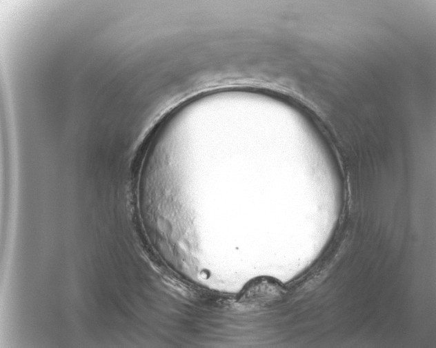 X0000056031501200509170023