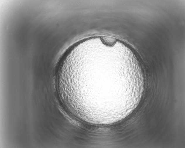 X0000056031503200509170023