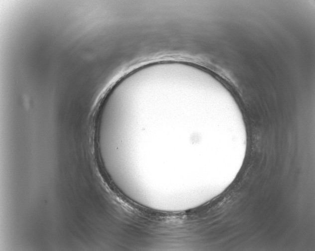 X0000056031504200509170023