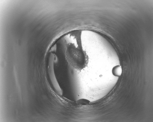 X0000056031506200509170023