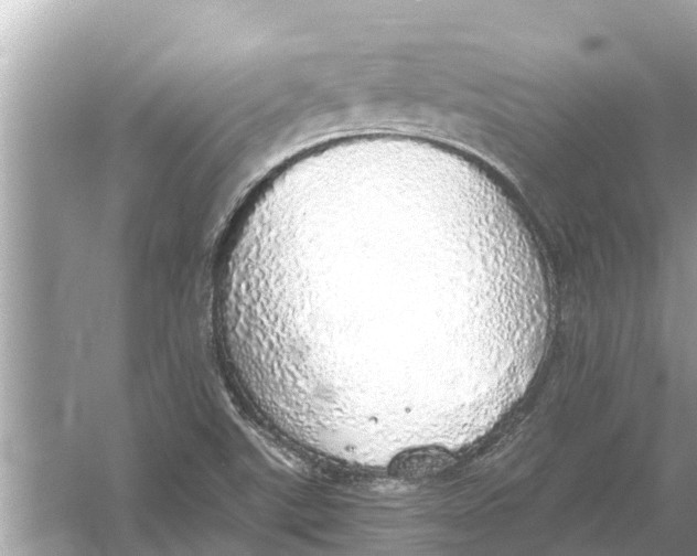 X0000056031507200509170023