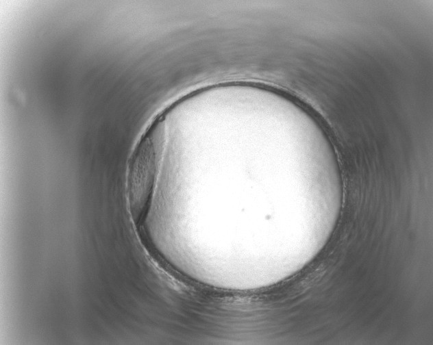 X0000056031508200509170023