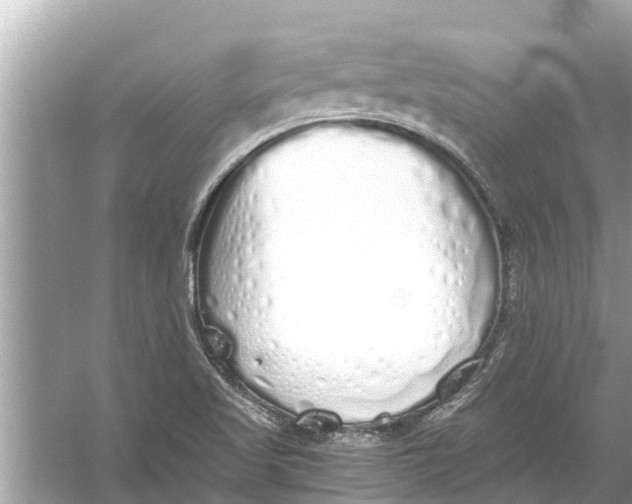 X0000056031509200509170023