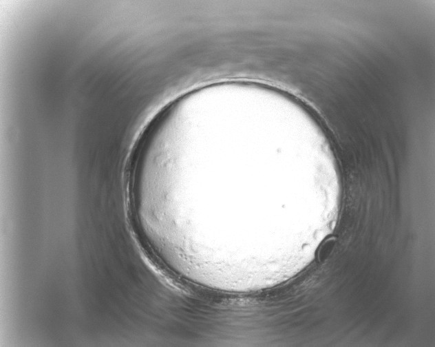 X0000056031511200509170023