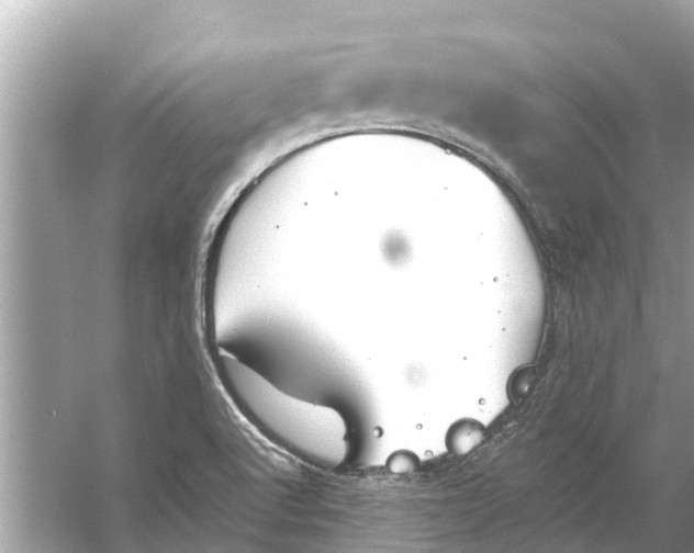 X0000056031512200509170023