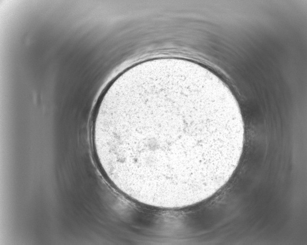 X0000056031514200509170023