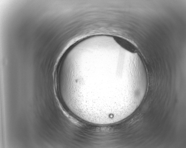 X0000056031515200509170023