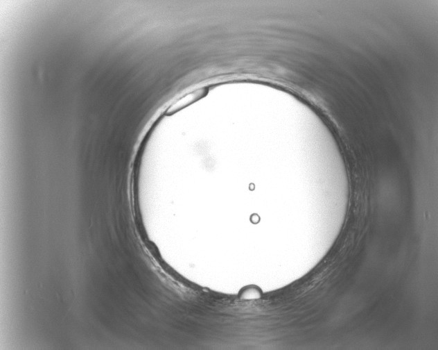 X0000056031516200509170023