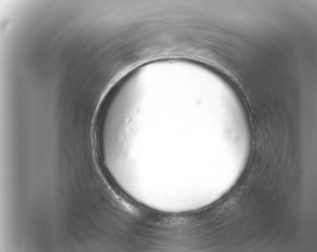 X0000056031517200509170023