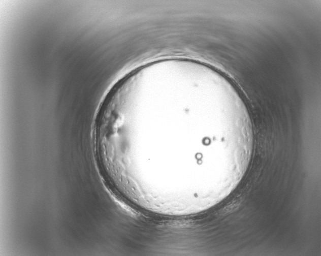 X0000056031519200509170023