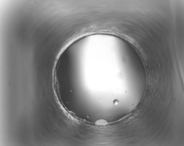 X0000056031520200509170023