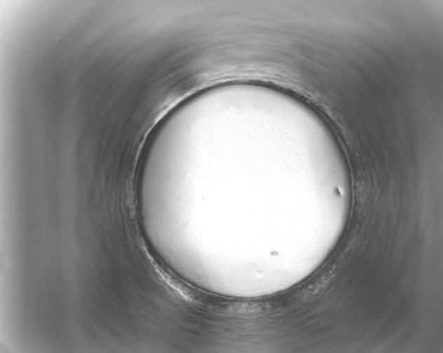 X0000056031521200509170023