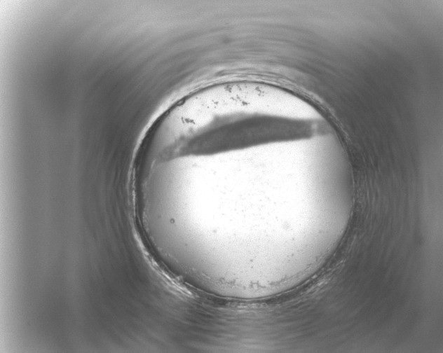 X0000056031522200509170023