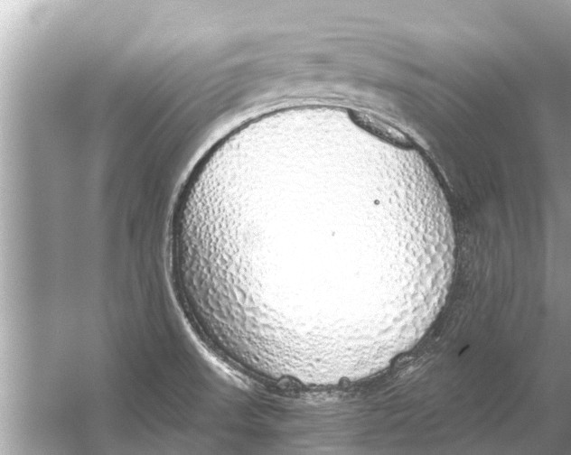 X0000056031523200509170023