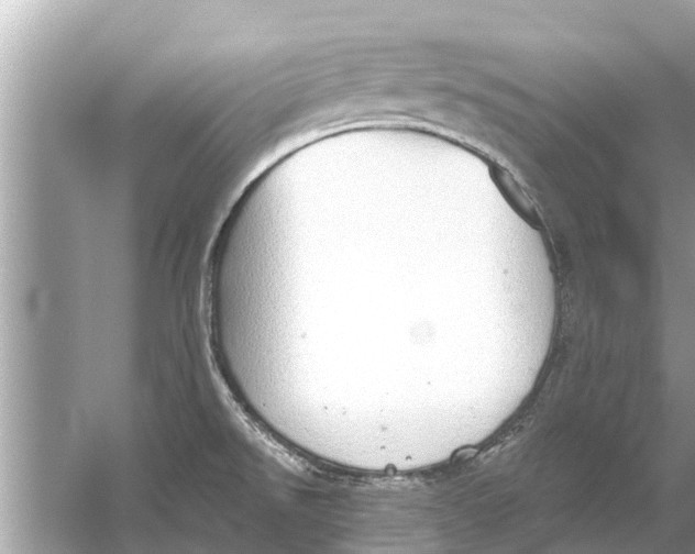 X0000056031526200509170023