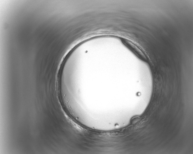 X0000056031527200509170023