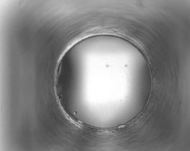 X0000056031528200509170023