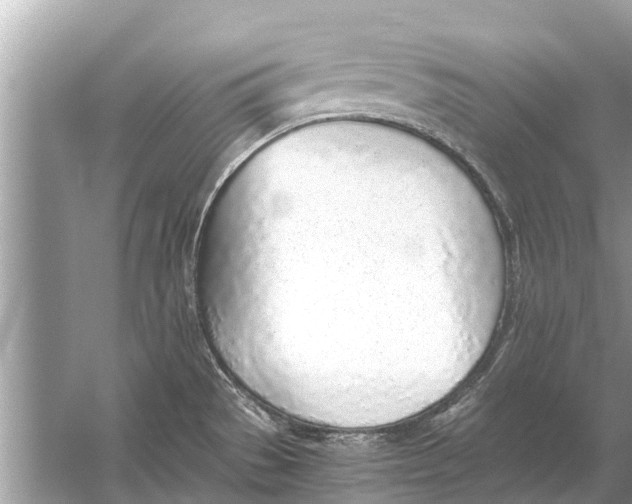 X0000056031529200509170023