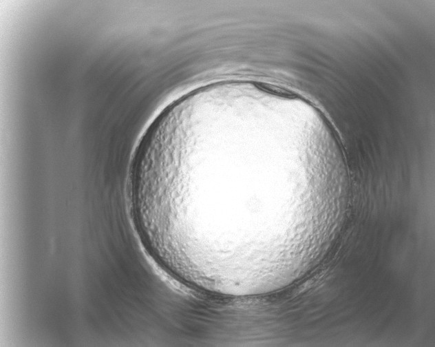 X0000056031531200509170023