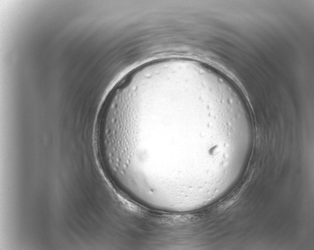 X0000056031533200509170023