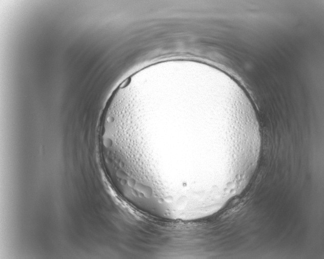 X0000056031534200509170023