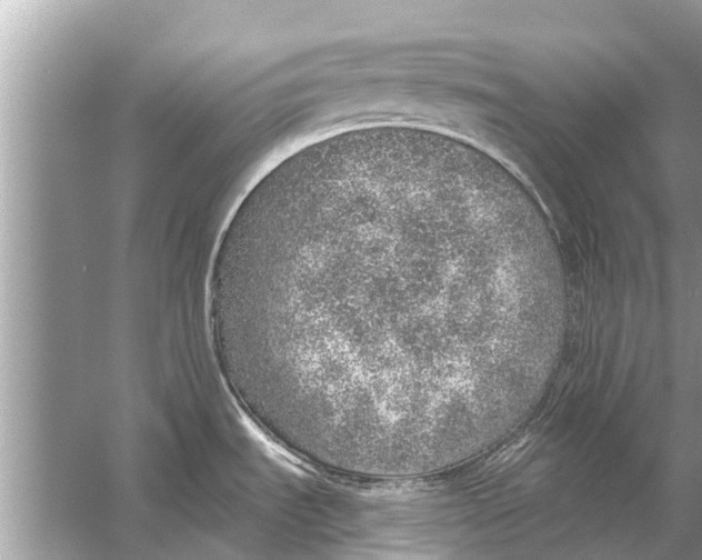 X0000056031535200509170023