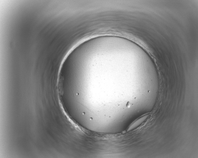 X0000056031536200509170023