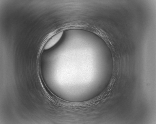X0000056310003200508260837