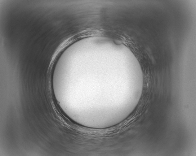 X0000056310004200508260837
