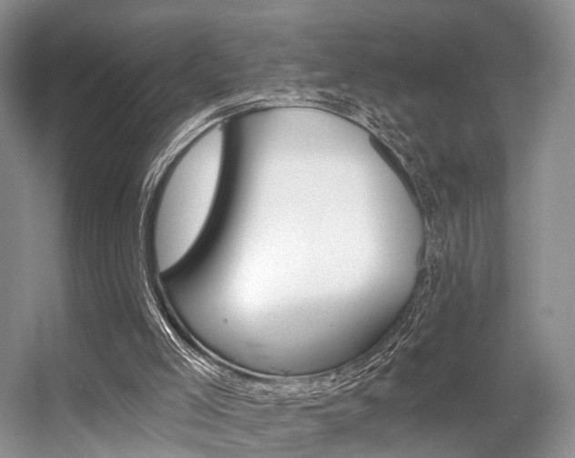 X0000056310005200508260837
