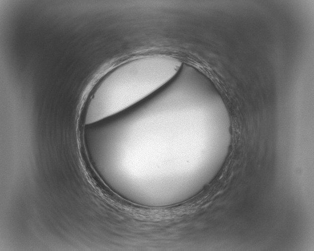 X0000056310006200508260837