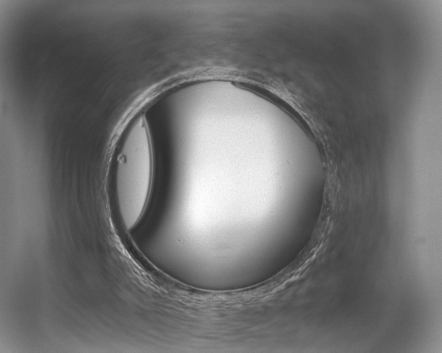 X0000056310007200508260837