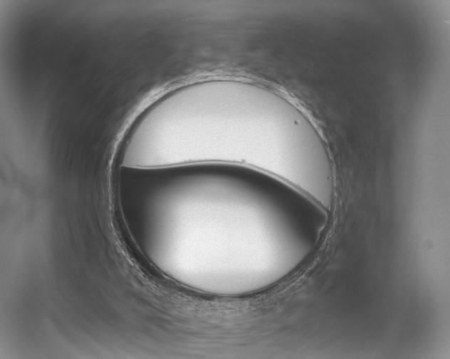 X0000056310008200508260837