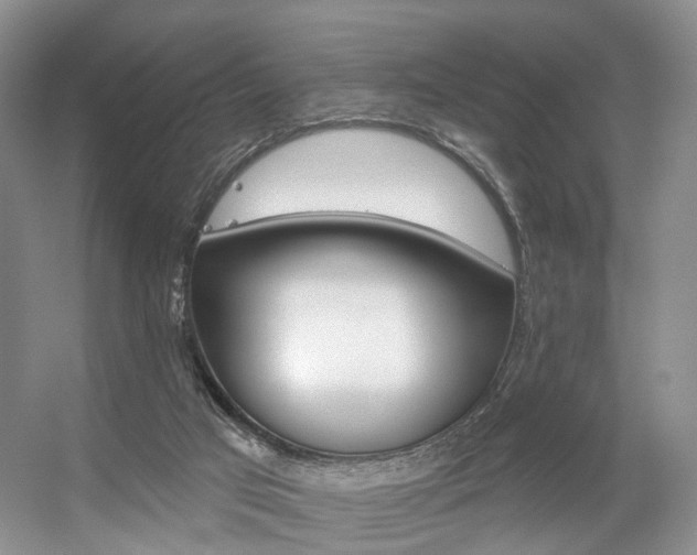 X0000056310017200508260837