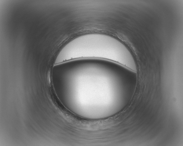 X0000056310021200508260837