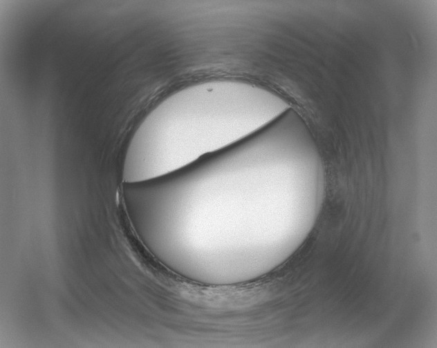 X0000056310022200508260836