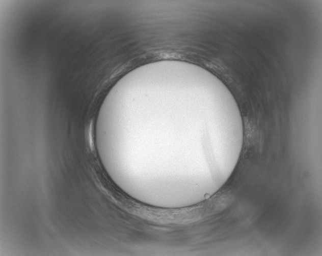 X0000056310028200508260836