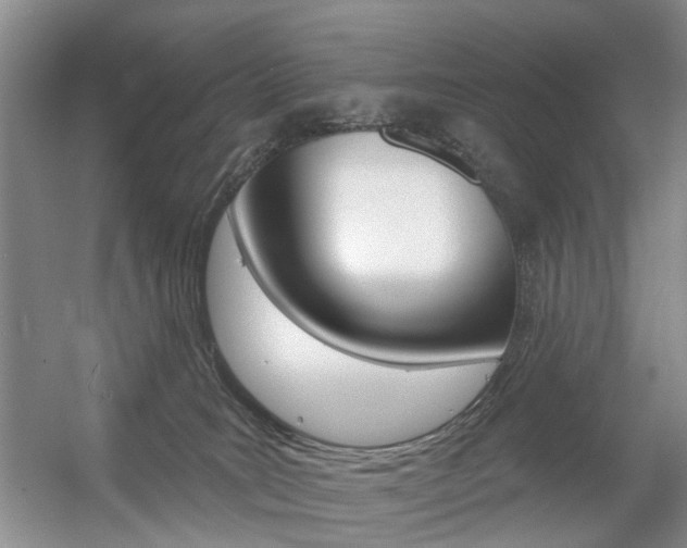 X0000056310035200508260836