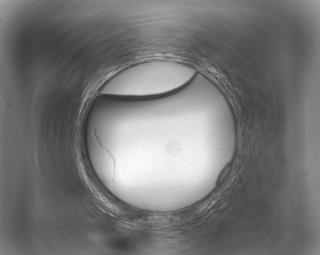 X0000056310049200508260835