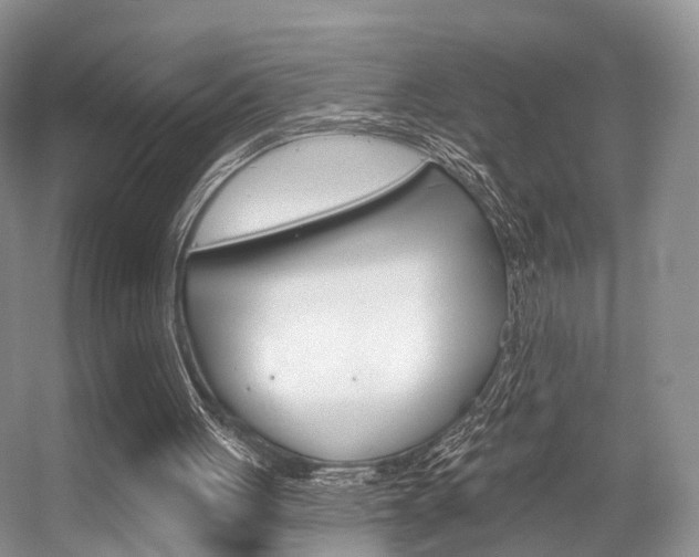 X0000056310051200508260835