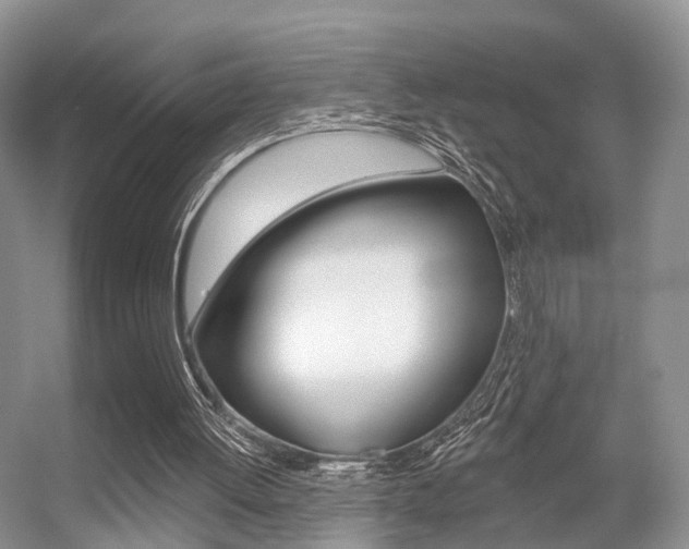 X0000056310052200508260835